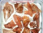 Lot: Natural, Red Quartz Crystals - Pieces #80622-3